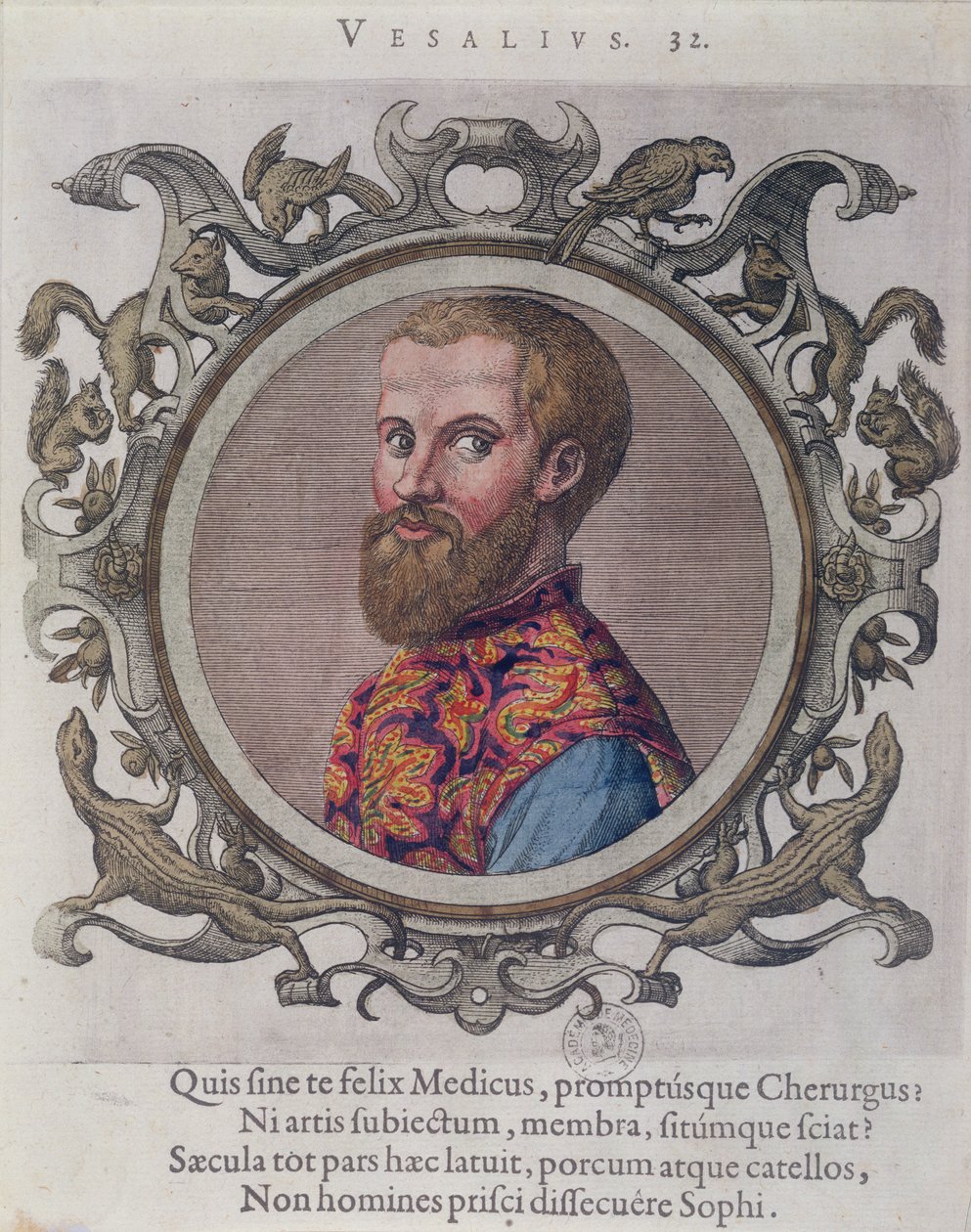 Portræt af Andreas Vesalius (1514-64) fra Recueil des Portraits de Medecins af den ungarske læge, Sambucus, 1574 af Hungarian School