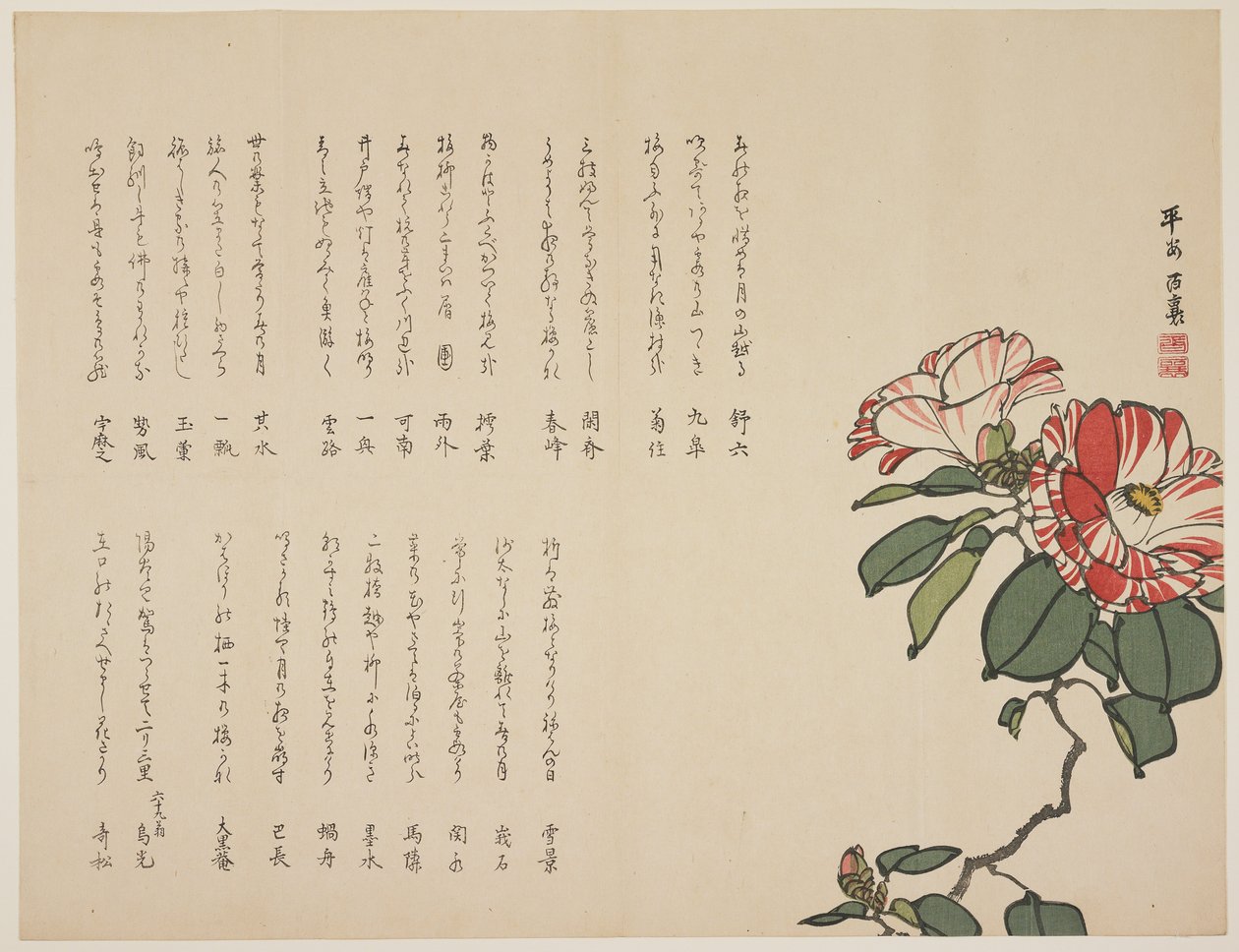 Blomstrende kamelia, ca. 1818-1829 (træbloktryk i farver) af Hyakuj