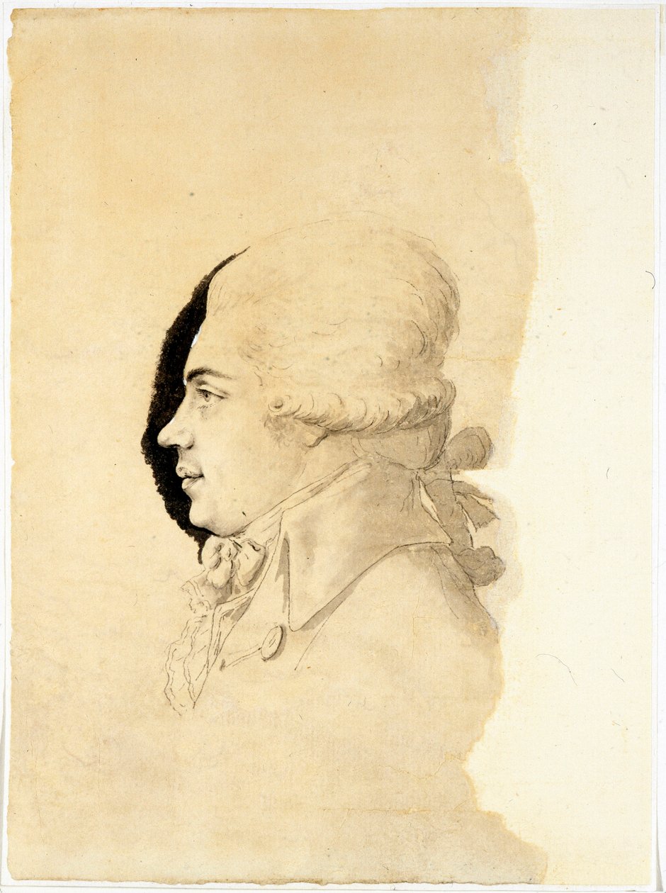 Portræt Du kommer Nikolai Petrovitch Rumiantsev (OU Romanceoc) (17826), Faoke 450 4826) - Pensailag (pen, børste, børstning, blæk på papir af I -I Hake (Haake) ( af I. I. Haacke