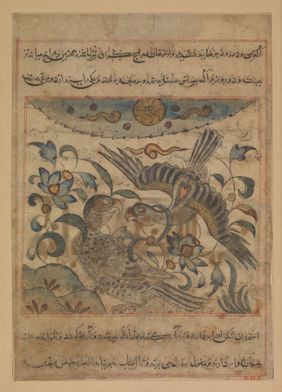 Par ørne, folio fra en Manafi