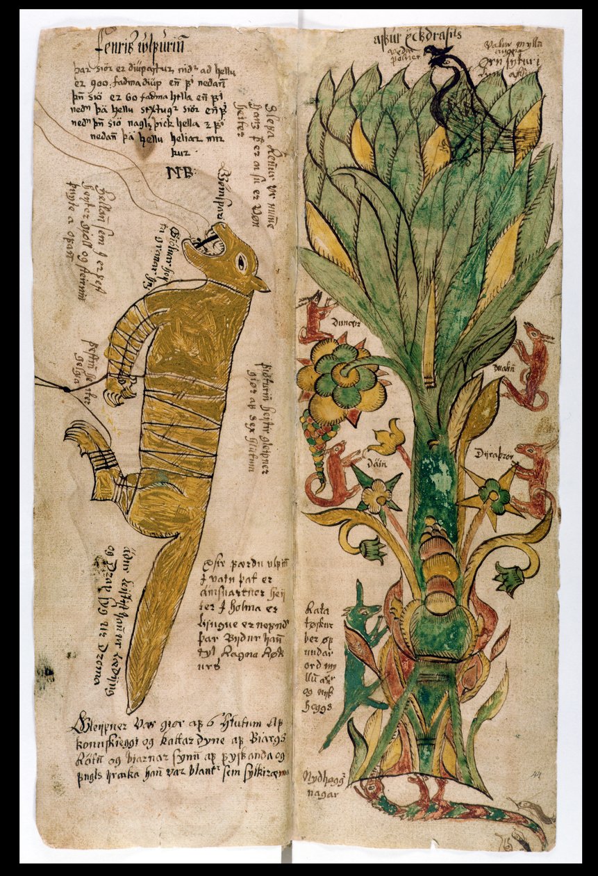 Ulven Fenrir og verdenstræet Yggdrasil, 1680 af Icelandic School