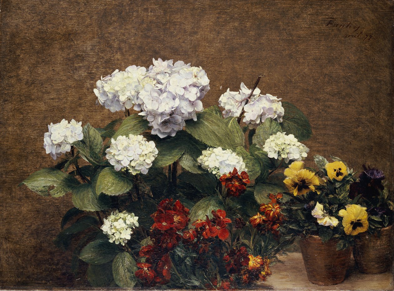 Hortensia og stokke med to potter stedmoderblomster, 1879 af Ignace Henri Jean Fantin Latour