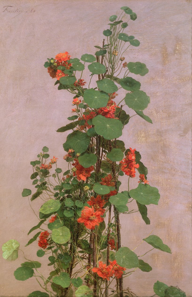 Nasturtiums, 1880 af Ignace Henri Jean Fantin Latour