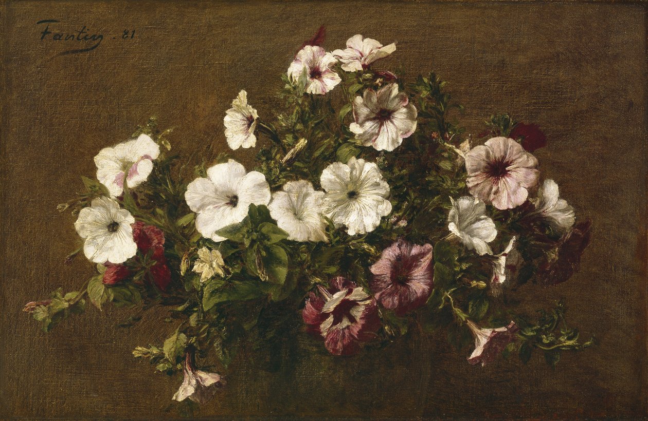 Petunia, 1881 af Ignace Henri Jean Fantin Latour