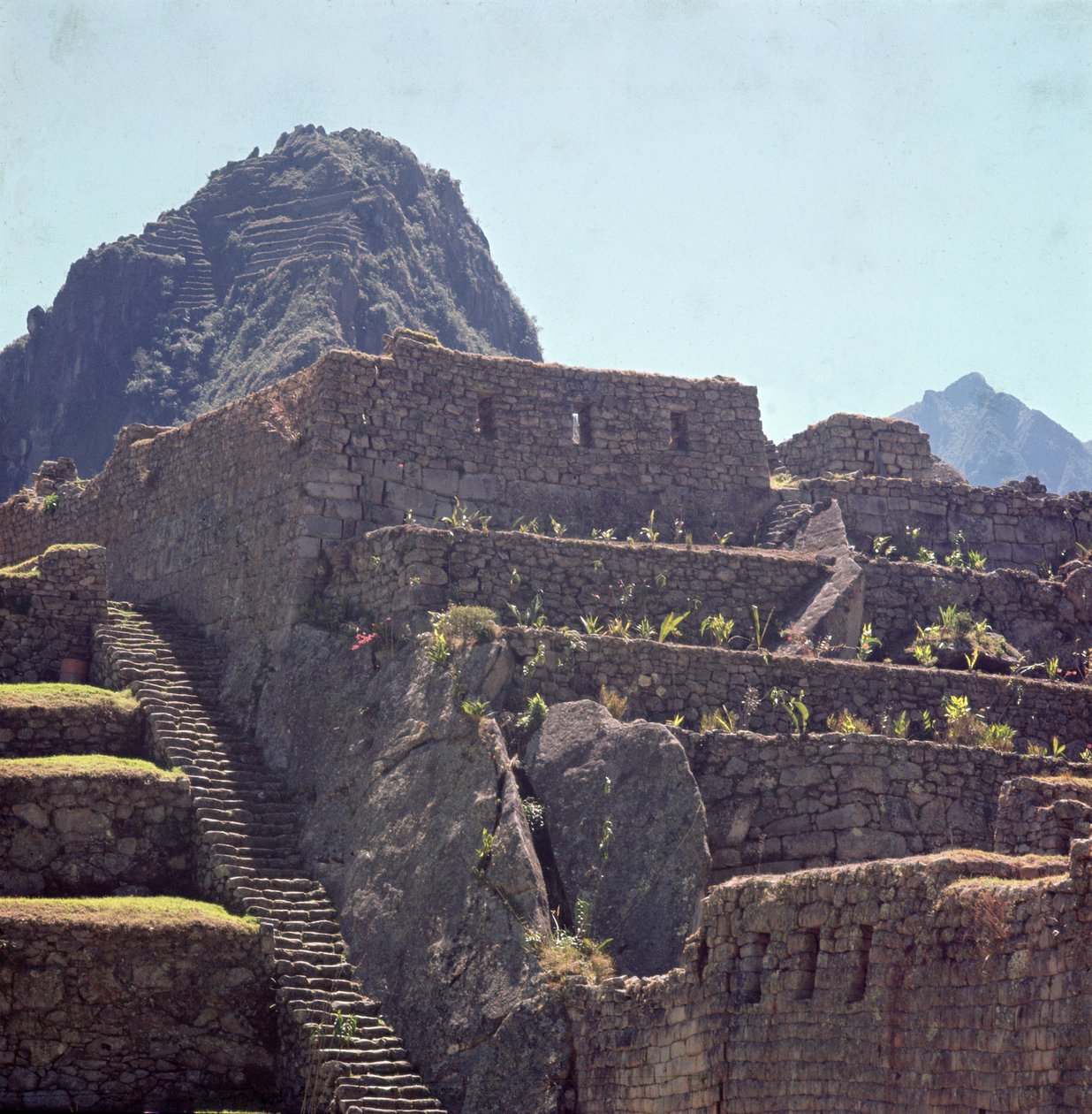 Ruiner af terrassebygninger i citadellet ved Machu Picchu af Incan