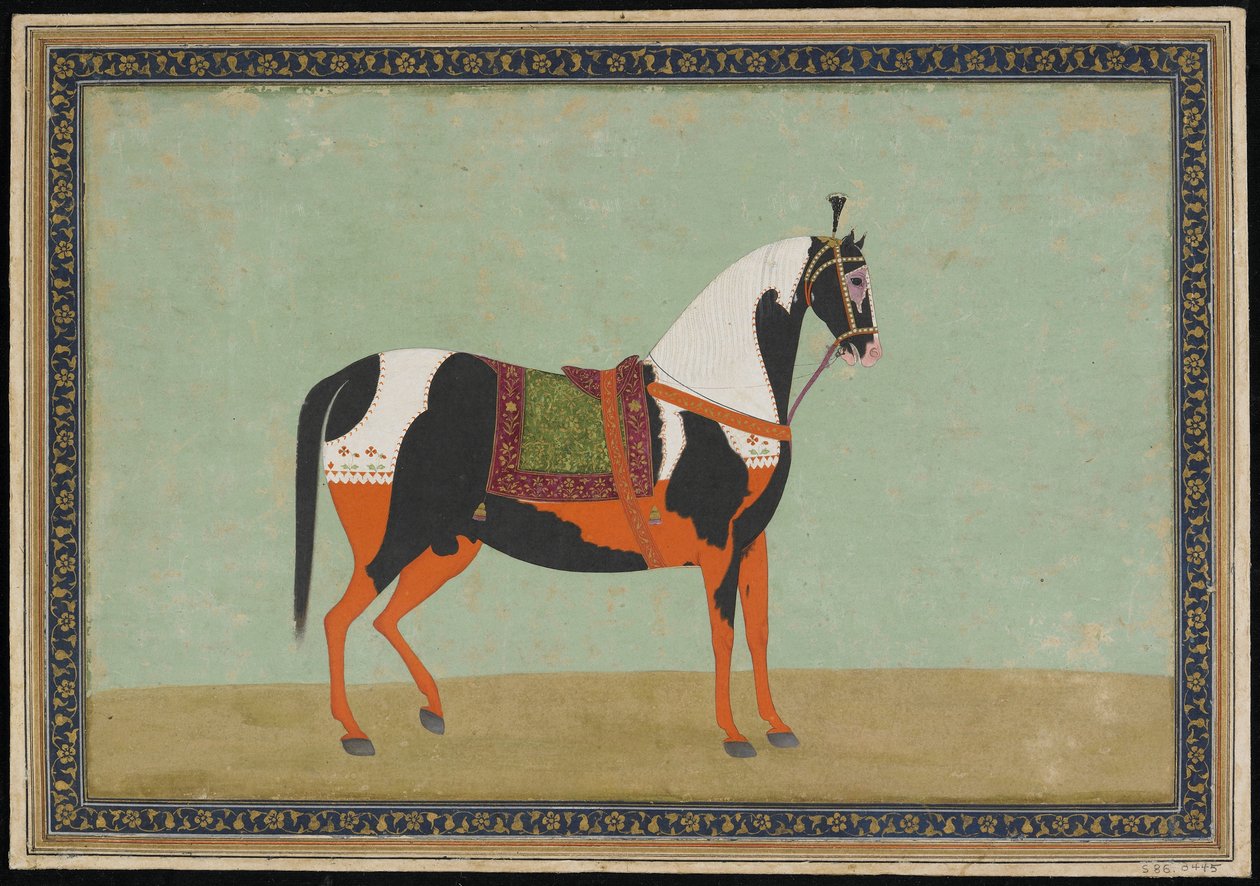 A Horse, Album folio, 1800-tallet (ugennemsigtig akvarel og guld på papir) af Indian School
