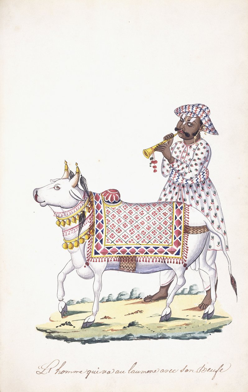 En mand med sin okse, ca. 1825 (blyant, pen, sort blæk, w/c, på Whatman-papir) af Indian School