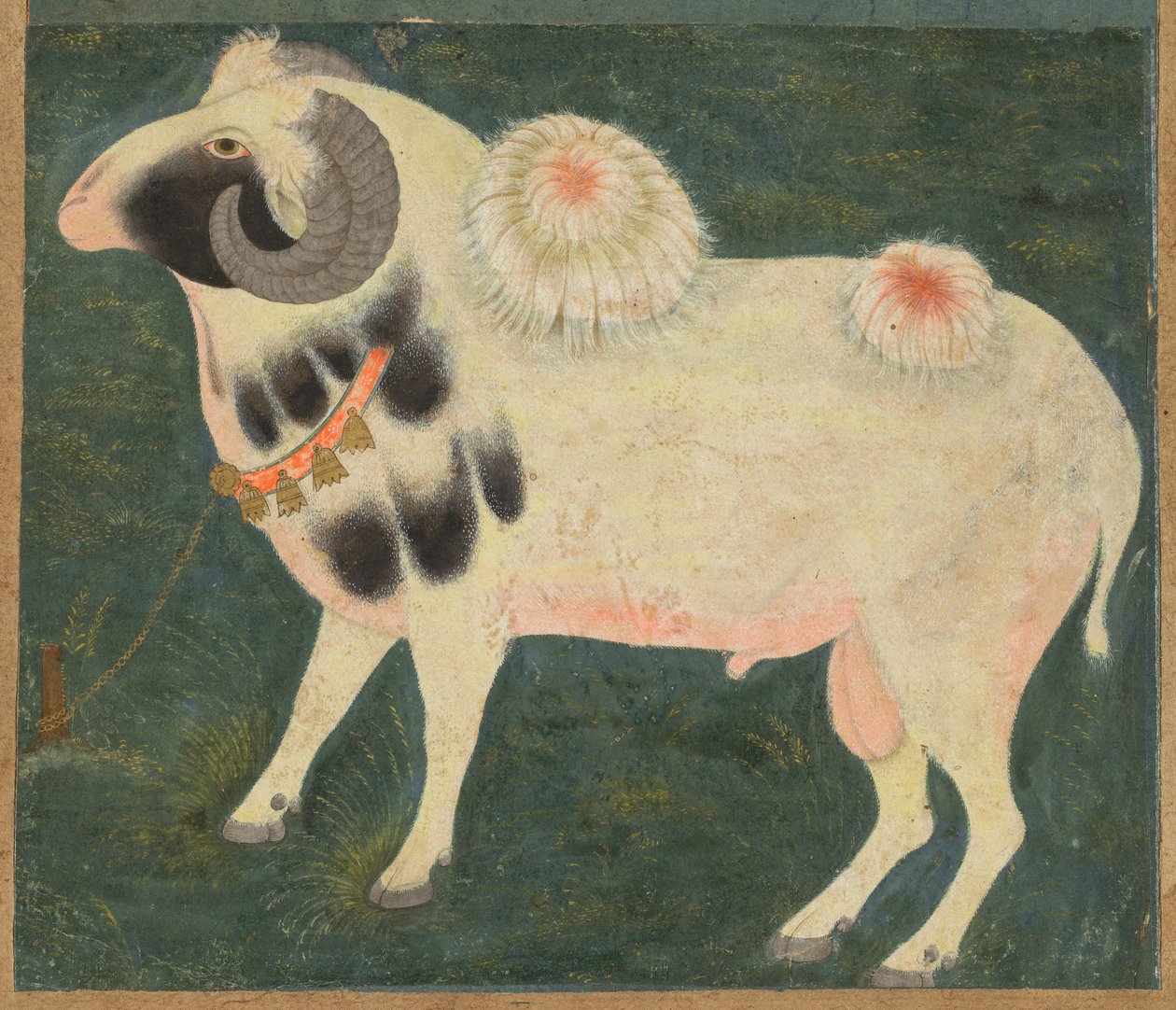 En kongelig vædder med guldkæde, ca. 1585 (ugennemsigtig akvarel & guld på papir) af Indian School