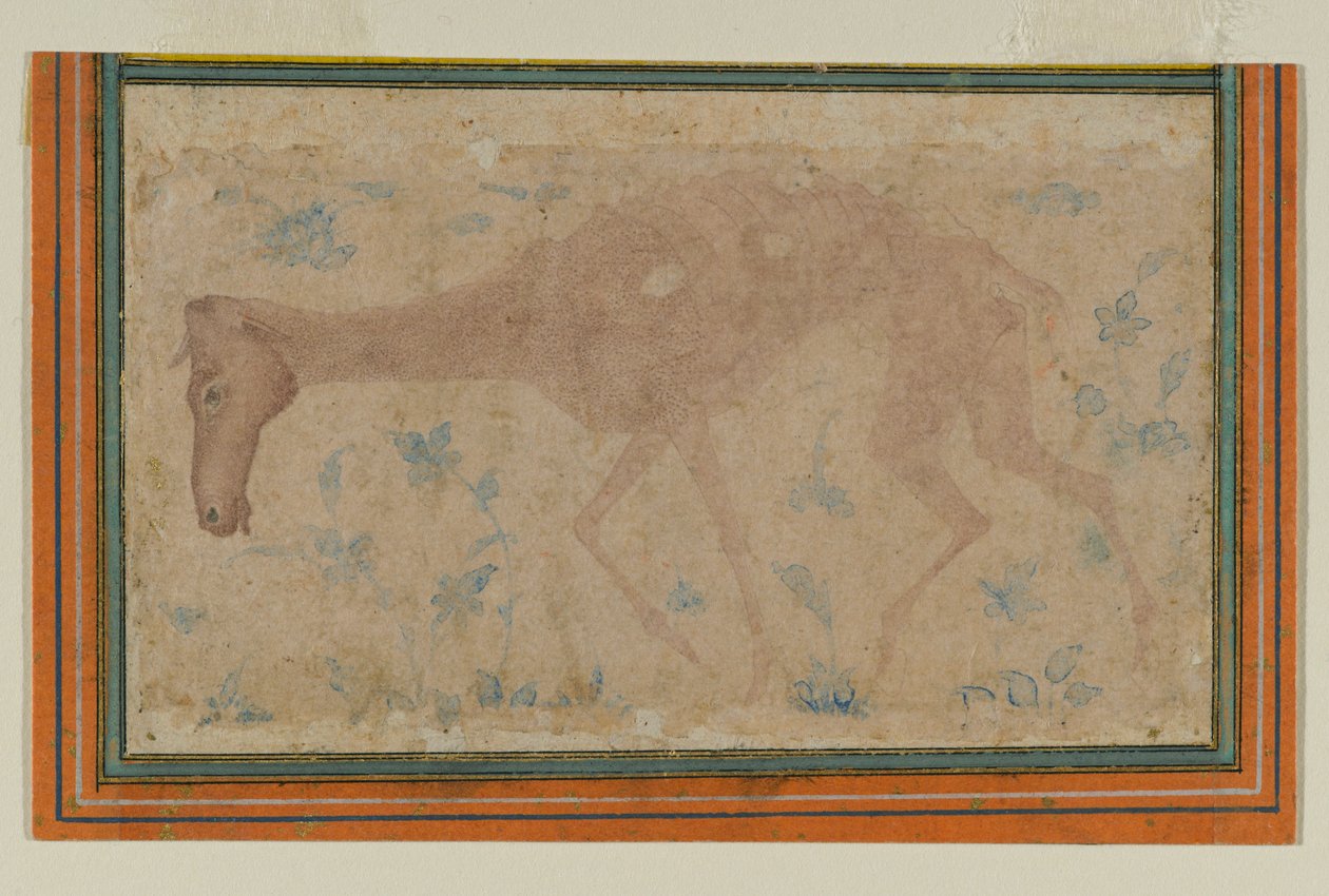En udmagret hest, fra Mughal eller Deccan, midten af det 17. århundrede (blæk & farvevask på papir) af Indian School