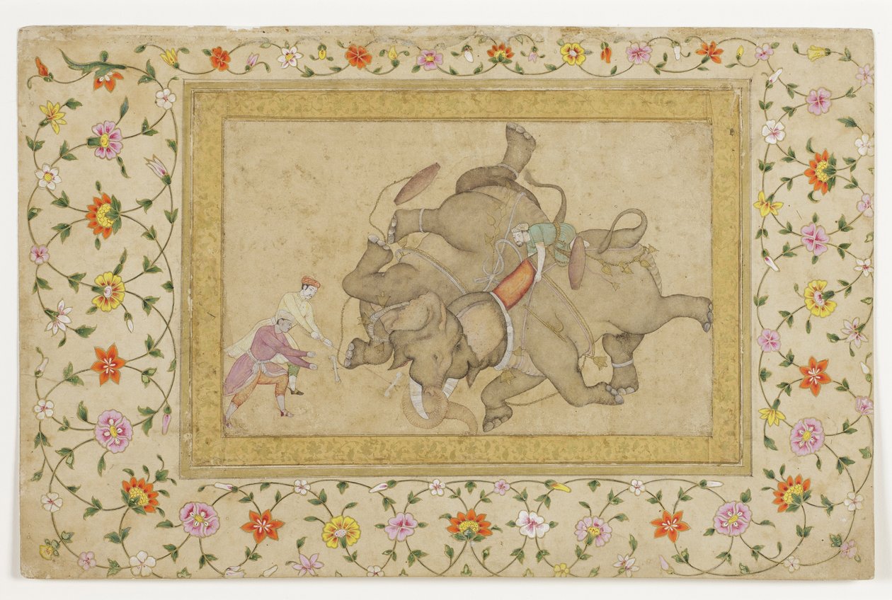 En elefantkamp med blomster-arabesk på kanten, ca. 1610 (ugennemsigtigt wc og guld på papir) af Indian School