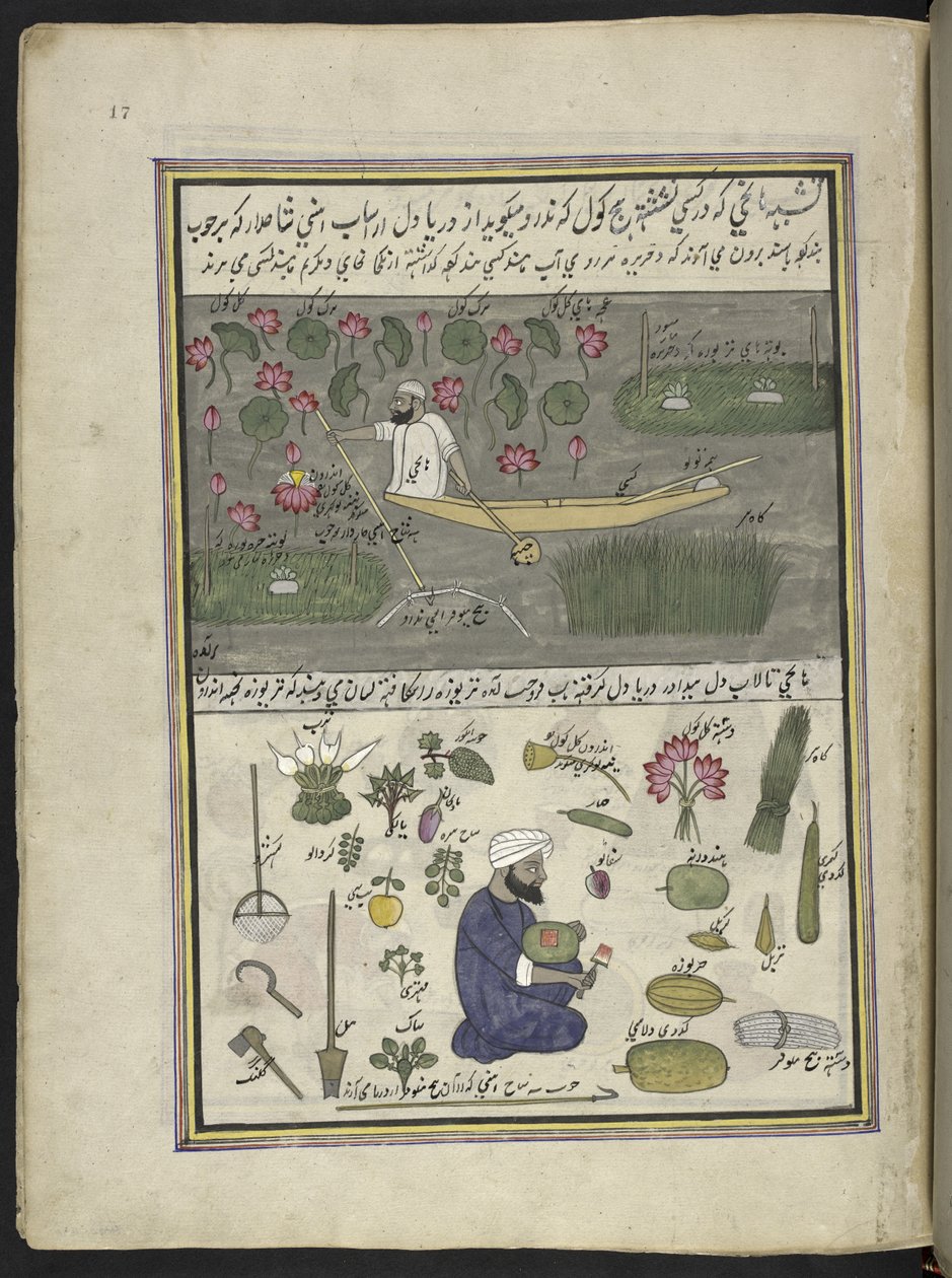Bådsmand samler lotusrod; landbrug på vandet,  86 tegninger indbundet i et bind, der viser håndværk og erhverv i Kashmir, håndværkere vises i arbejde med deres redskaber og udstyr,  Af en Kashmir-kunstner, sandsynligvis i Srinagar, ca. 1850-60 (gou af Indian School