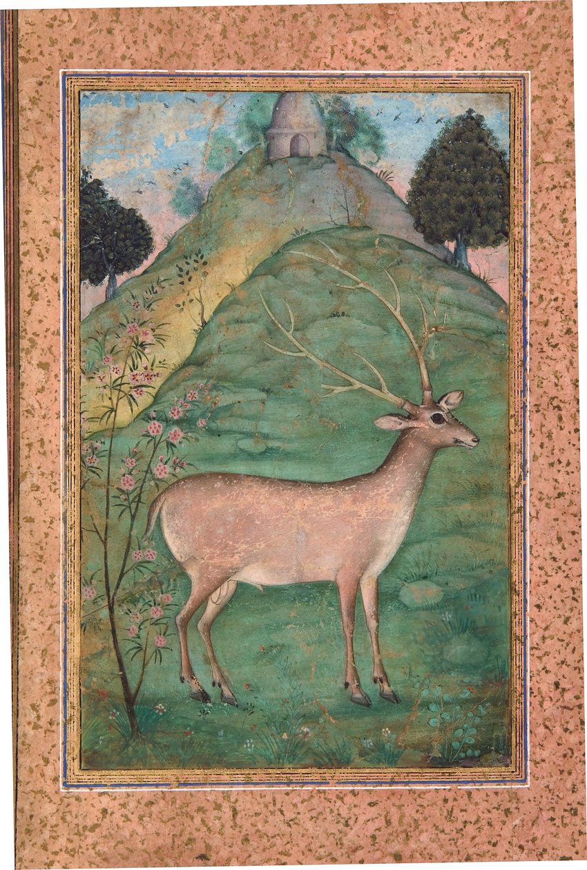 Buck in a Landscape, ca. 1595 (ugennemsigtigt wc & guld på papir) af Indian School