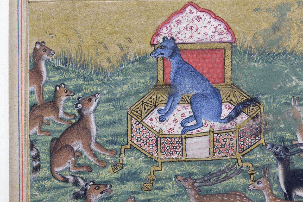 Detalje fra Sjakalen, der udtalte sig til konge, ca. 1560-65 (ugennemsigtigt wc & guld på papir) af Indian School