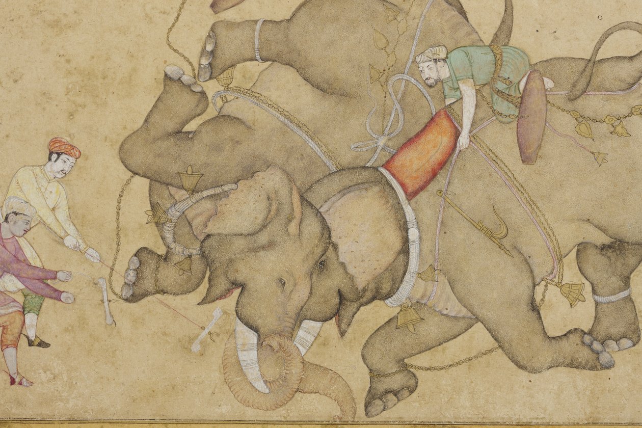 Detalje fra en elefantkamp med blomster-arabesk på kanten, ca. 1610 (ugennemsigtigt wc & guld på papir) af Indian School