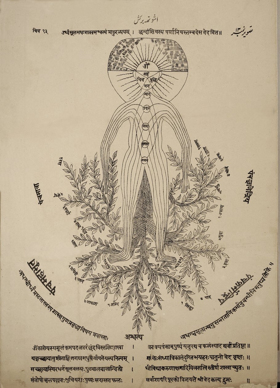 Diagram, der viser meridianpunkter på den menneskelige krop af Indian School