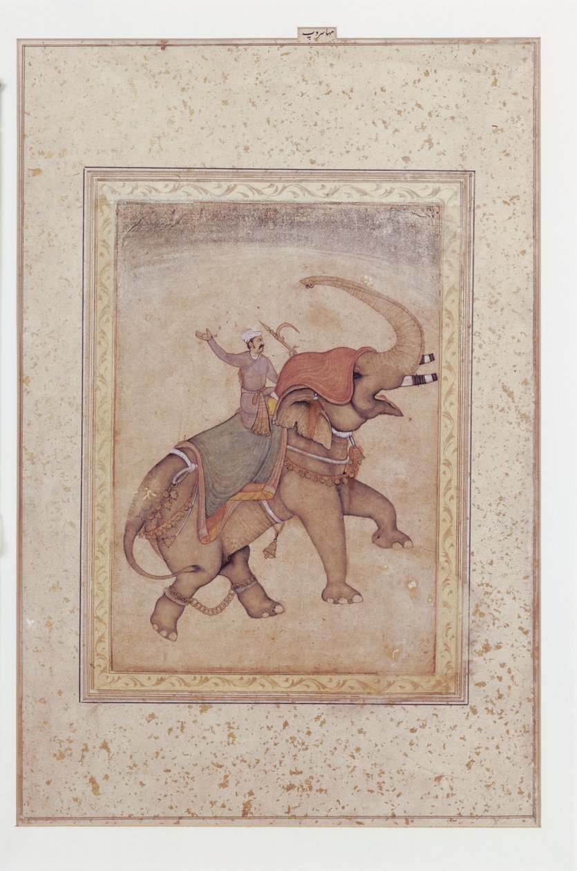 Elefant og mahout (elefantdriver), ca.
1595-1600 (Uigennemsigtig akvarel, blæk og guld på papir) af Indian School