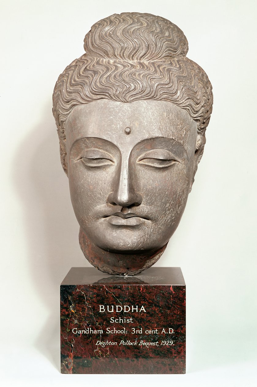 Hoved fra en statue af Buddha, fra Gandhara, Nordvestindien (grå skifer) af Indian School