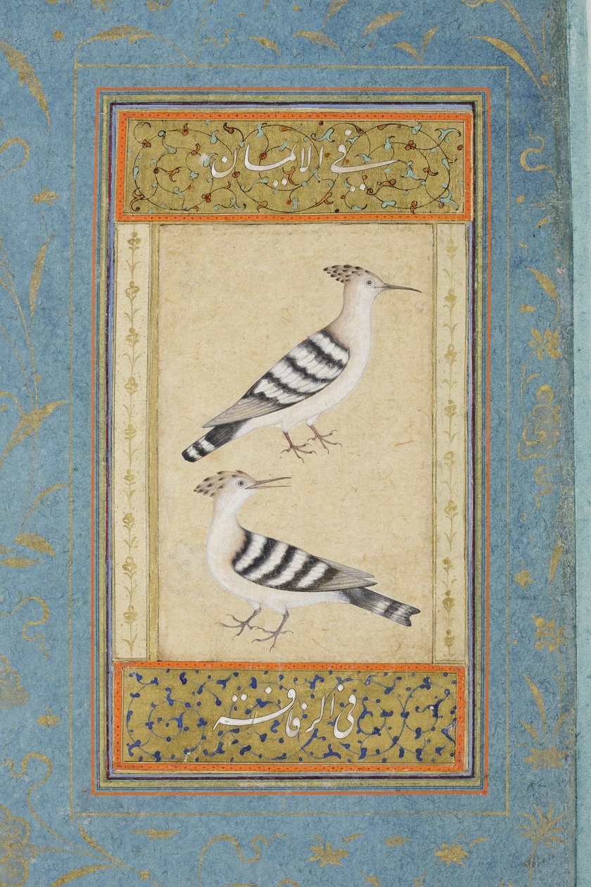 Hoopoes, ca. 1590 (ugennemsigtigt wc & guld på papir) af Indian School