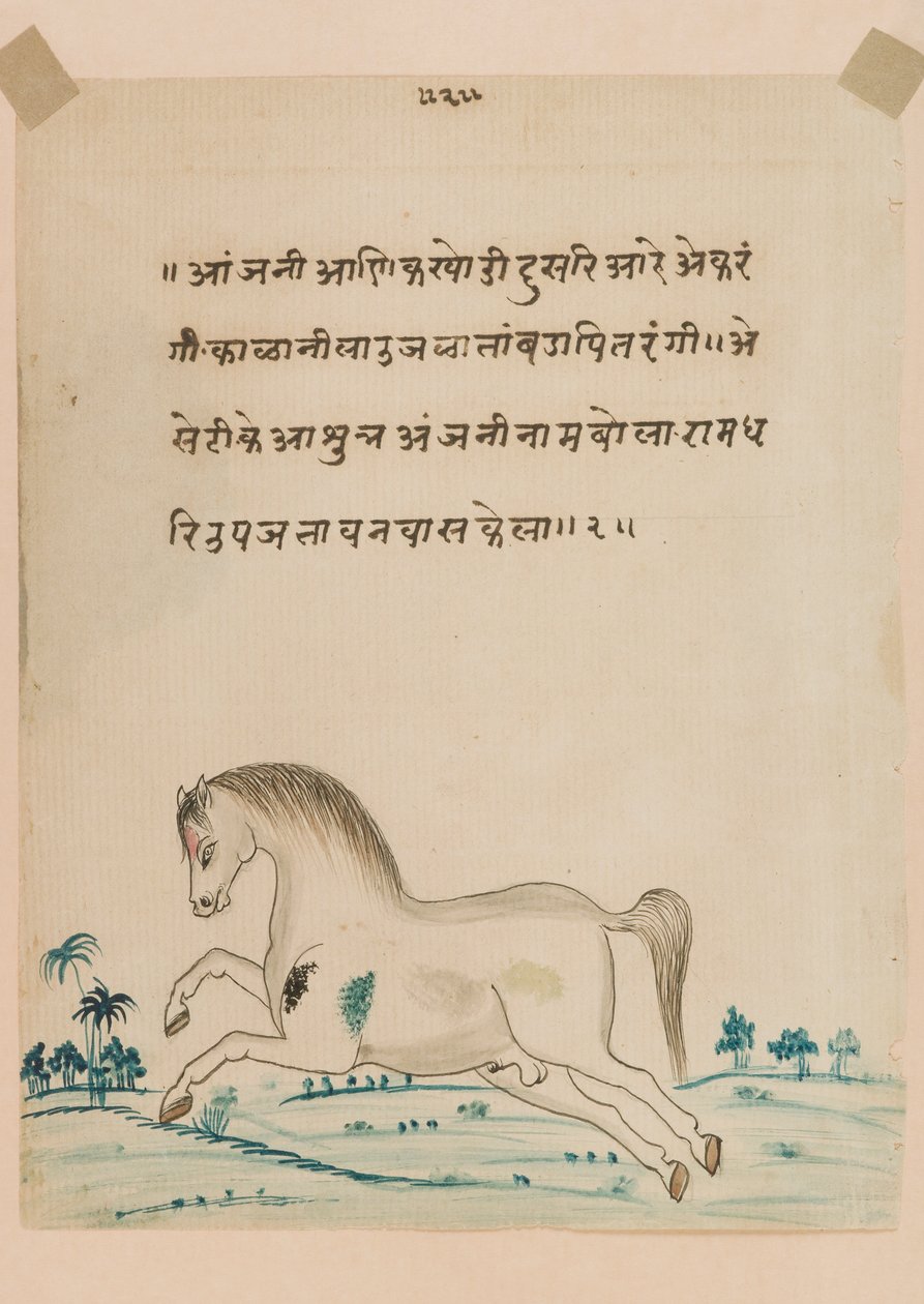 Hest (ugennemsigtig wc på papir) af Indian School