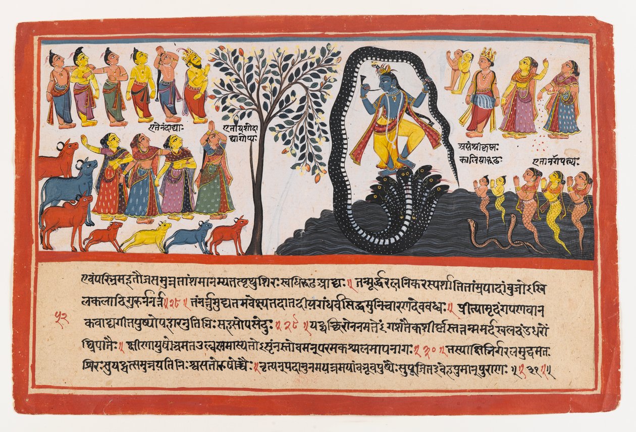 Krishna Conquers the Serpent Kaliya, side fra en Dispersed Bhagavata Purana Series, ca. 1775 (ugennemsigtigt wc & guld på papir) af Indian School