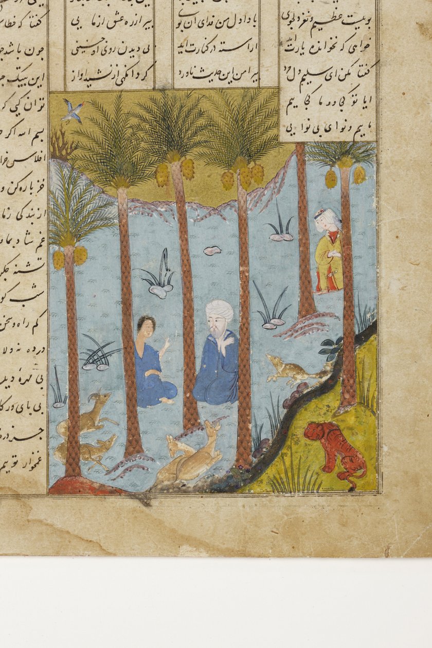 Laila besøger Majnun i en palmelund, ca. 1475 (ugennemsigtigt wc & guld på papir) af Indian School