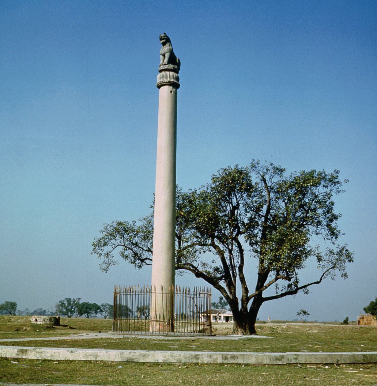 Løvesøjle af kejser Ashoka (ca. 264-223 f.Kr.) af Indian School