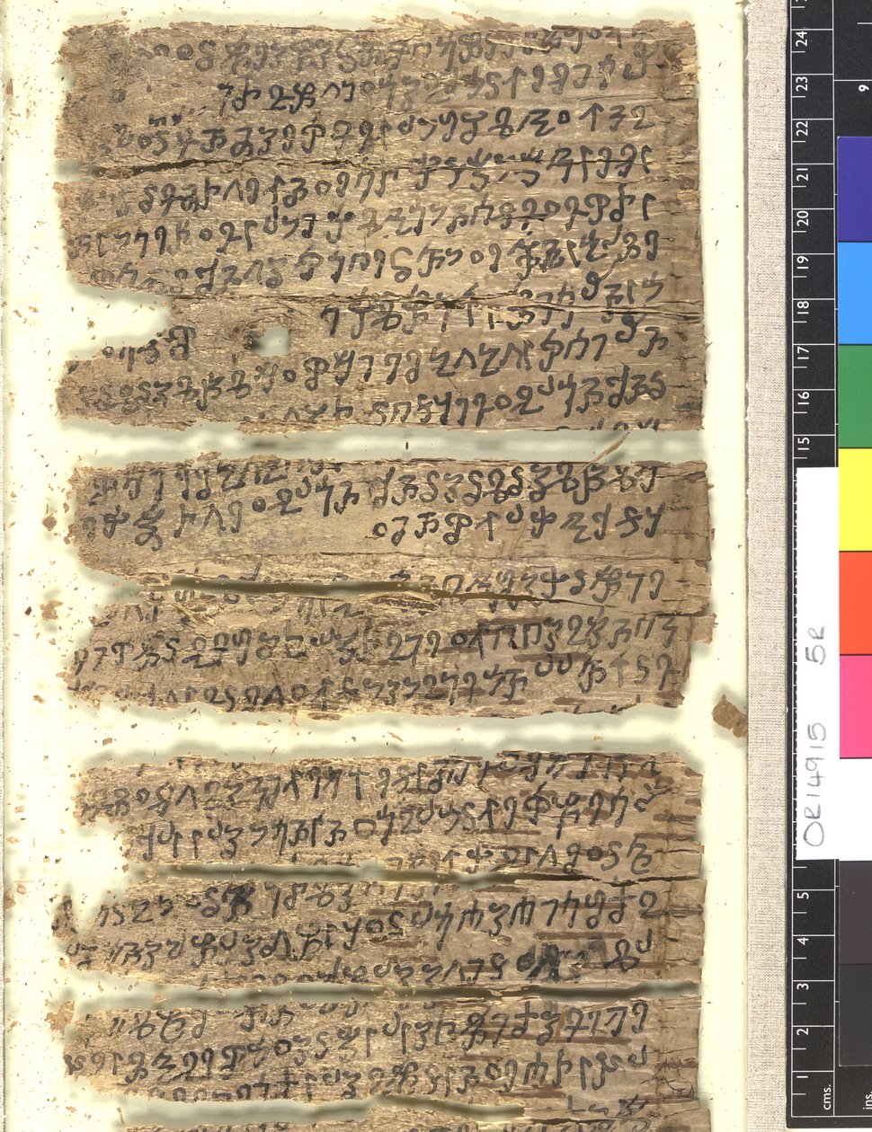 OMS OR 14915 f.5r Fragmenter af birkebark manuskript i Kharoṣṭi af Indian School