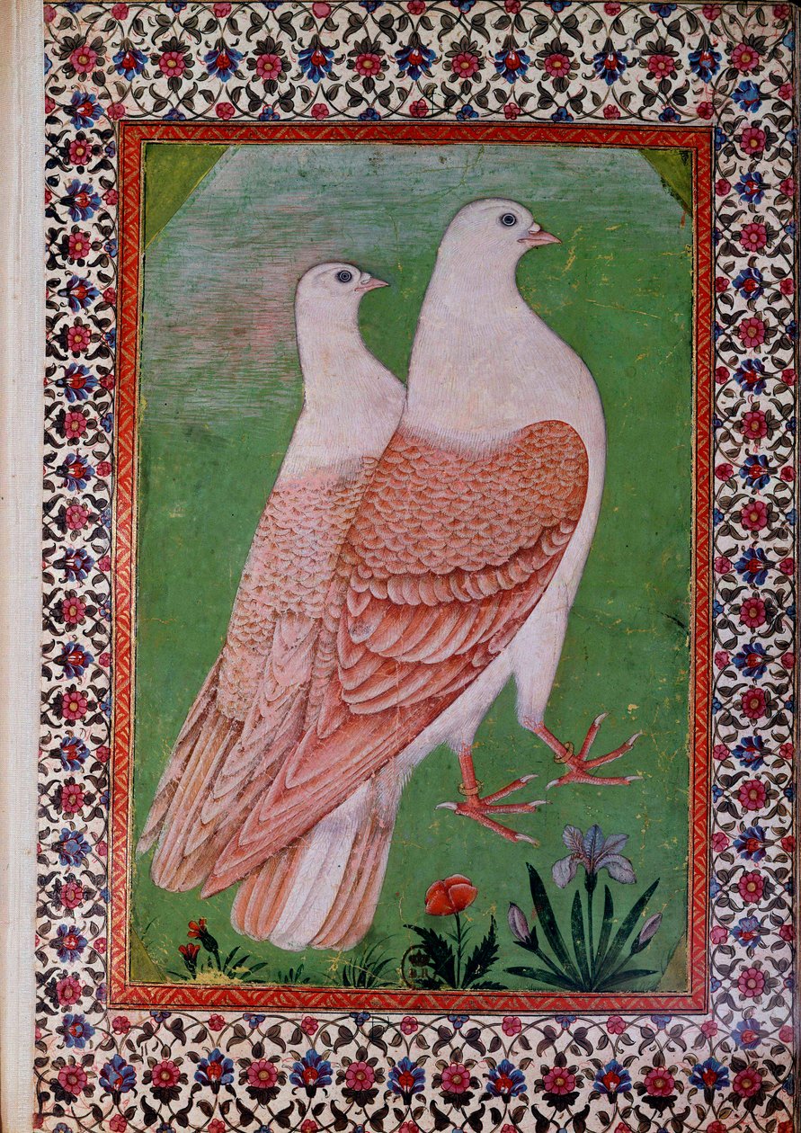 Orientalsk kunst: to duer. Indisk manuskriptside fra det 16. århundrede. Paris, B.N. af Indian School