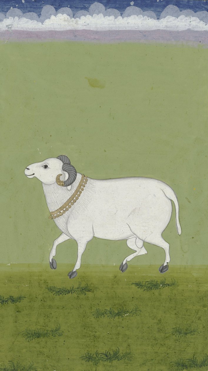 Vædder med gylden krave, 1700-1799 af Indian School