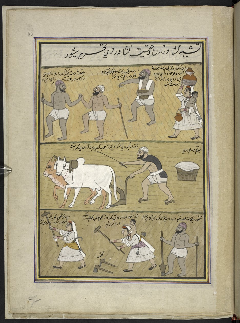 Såning af uafskallet; pløjning; knækker klumper,  86 tegninger indbundet i et bind, der viser håndværk og erhverv i Kashmir, håndværkere vises i arbejde med deres redskaber og udstyr,  Af en Kashmir-kunstner, sandsynligvis i Srinagar, ca. 1850-60 (gouache  af Indian School