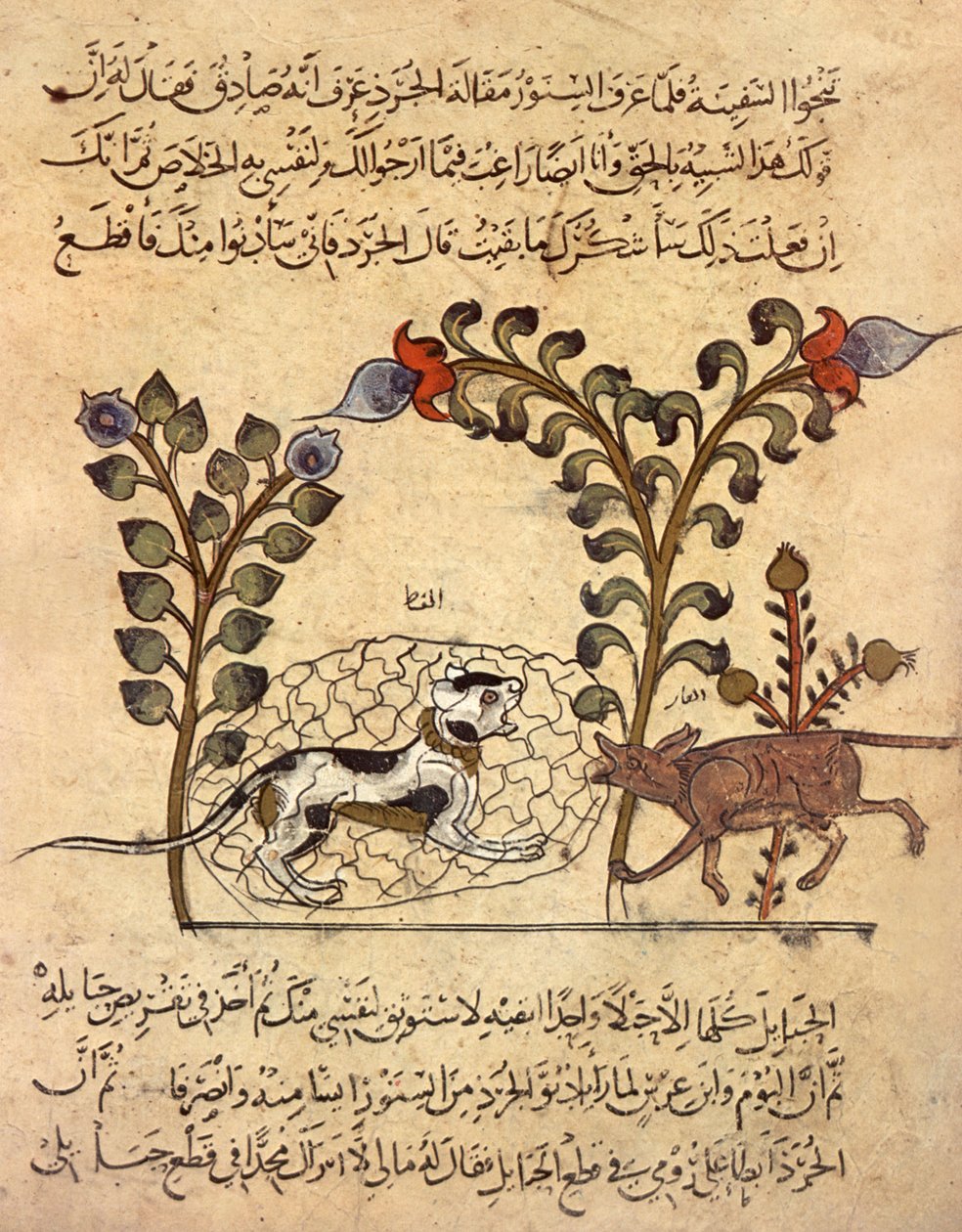 Katten og rotten, arabisk miniature fra "Kalila va dimna" af Indian School