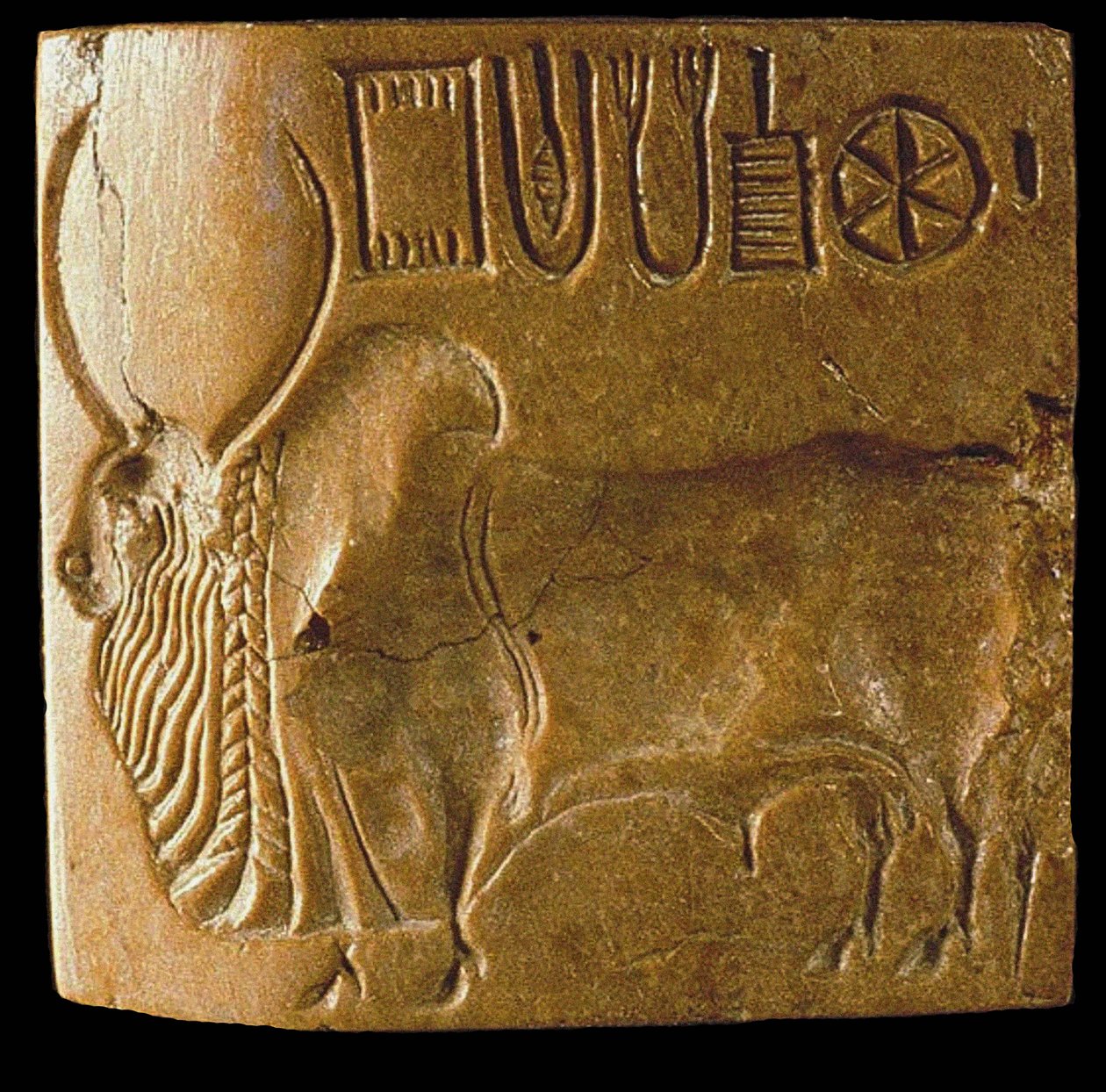 Zebu Bull Seal med Indus Script Fundet i Mohenjo Daro, Indus Valley, 3. årtusinde f.Kr. af Indus Valley Civilisation.