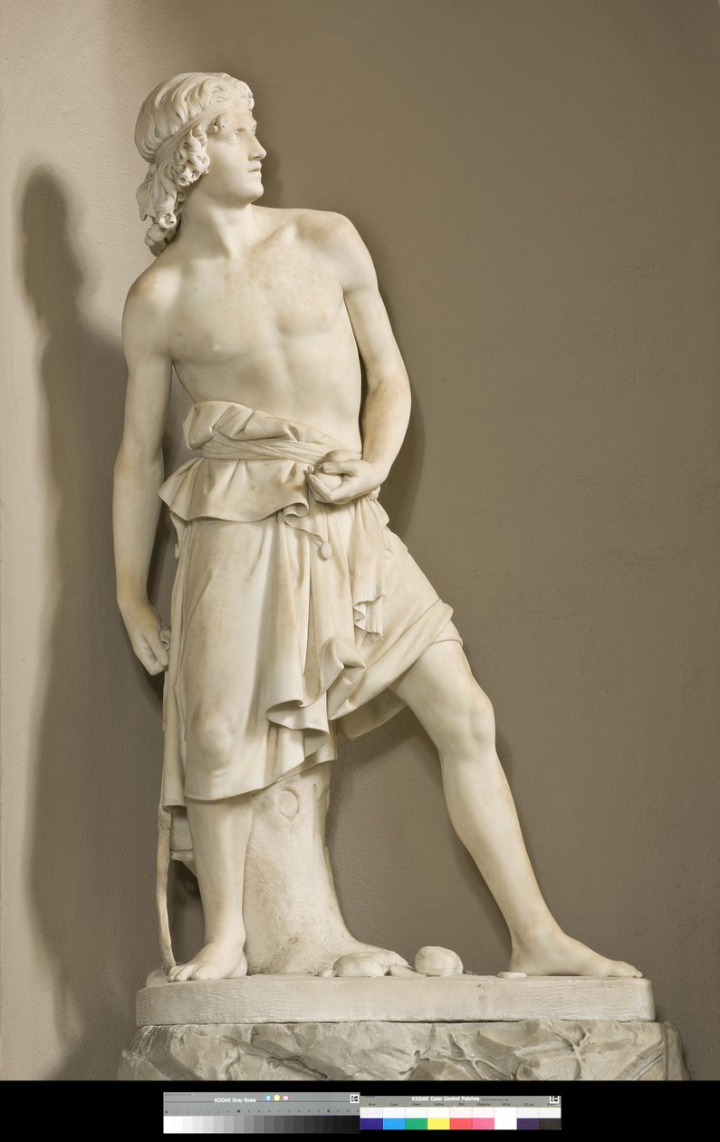 David med slyngen, 1858 af Innocenzo Fraccaroli
