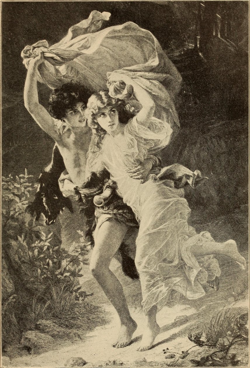Stormen af Internet Archive Book Images