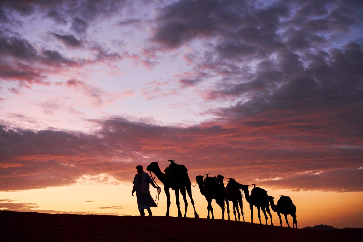 En kamelerer leder sine kameler ved Erg Chebbi i ørkenen i Merzouga, Marokko, 2019 (foto) af Ira Block
