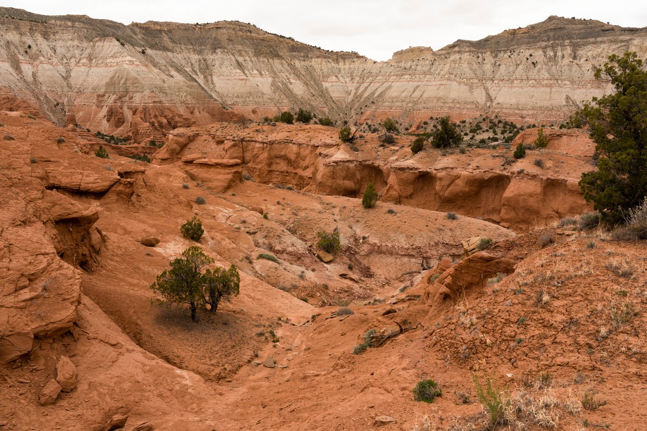Et landskab ved Kodachrome Basin State Park, Utah, 2019 (foto) af Ira Block
