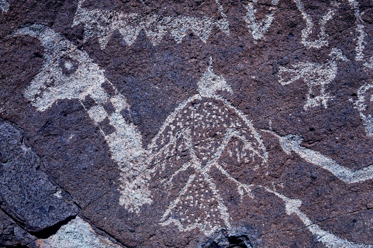 Anasazi Petroglyph (klippekunst) udskæringer i New Mexico. af Ira Block