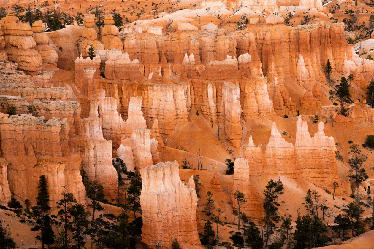 Hoodoos - spir skabt af erosion - i Bryce Canyon National Park i Utah, 2019 (foto) af Ira Block