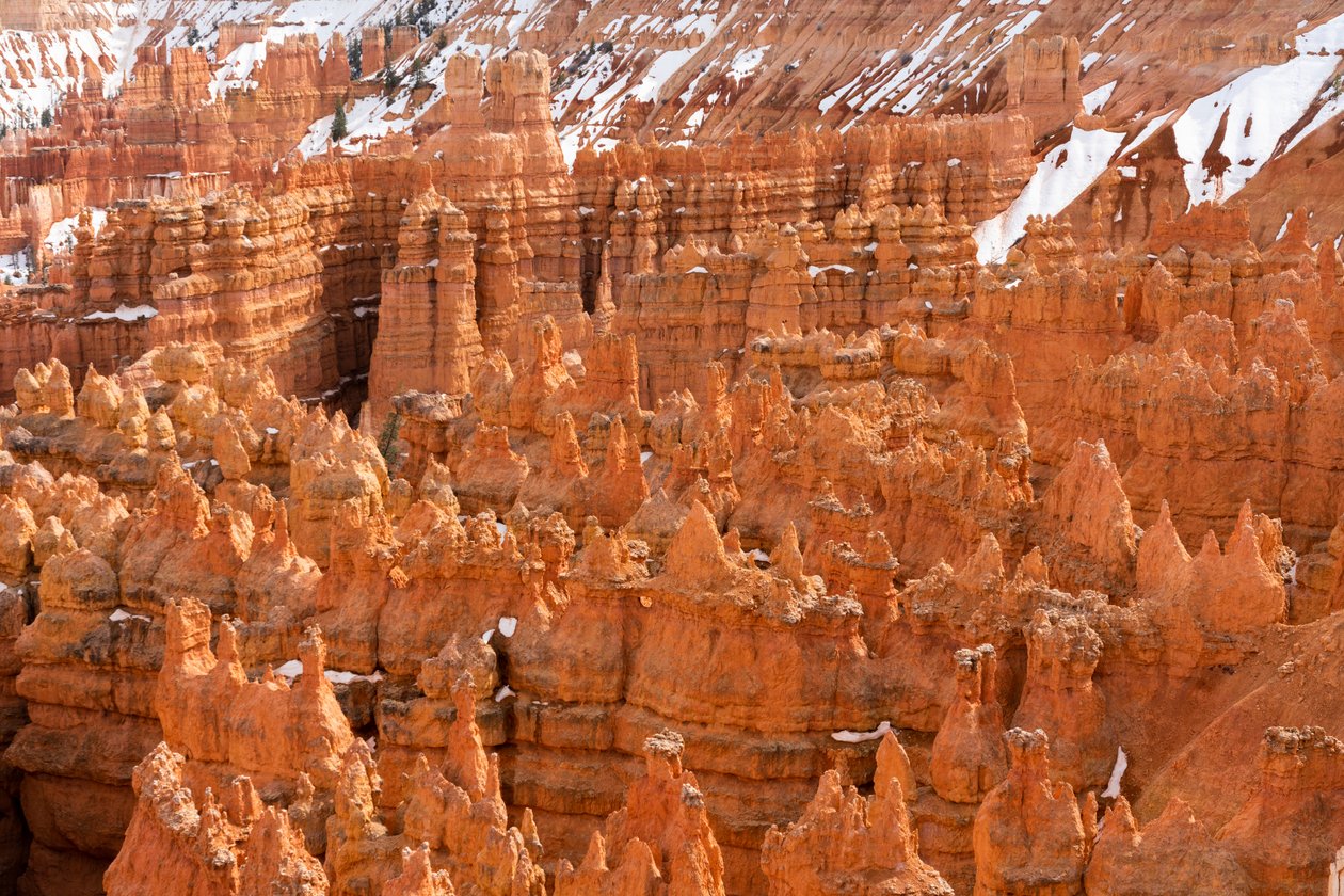 Hoodoos - spir skabt af erosion - i Bryce Canyon National Park i Utah, 2019 (foto) af Ira Block
