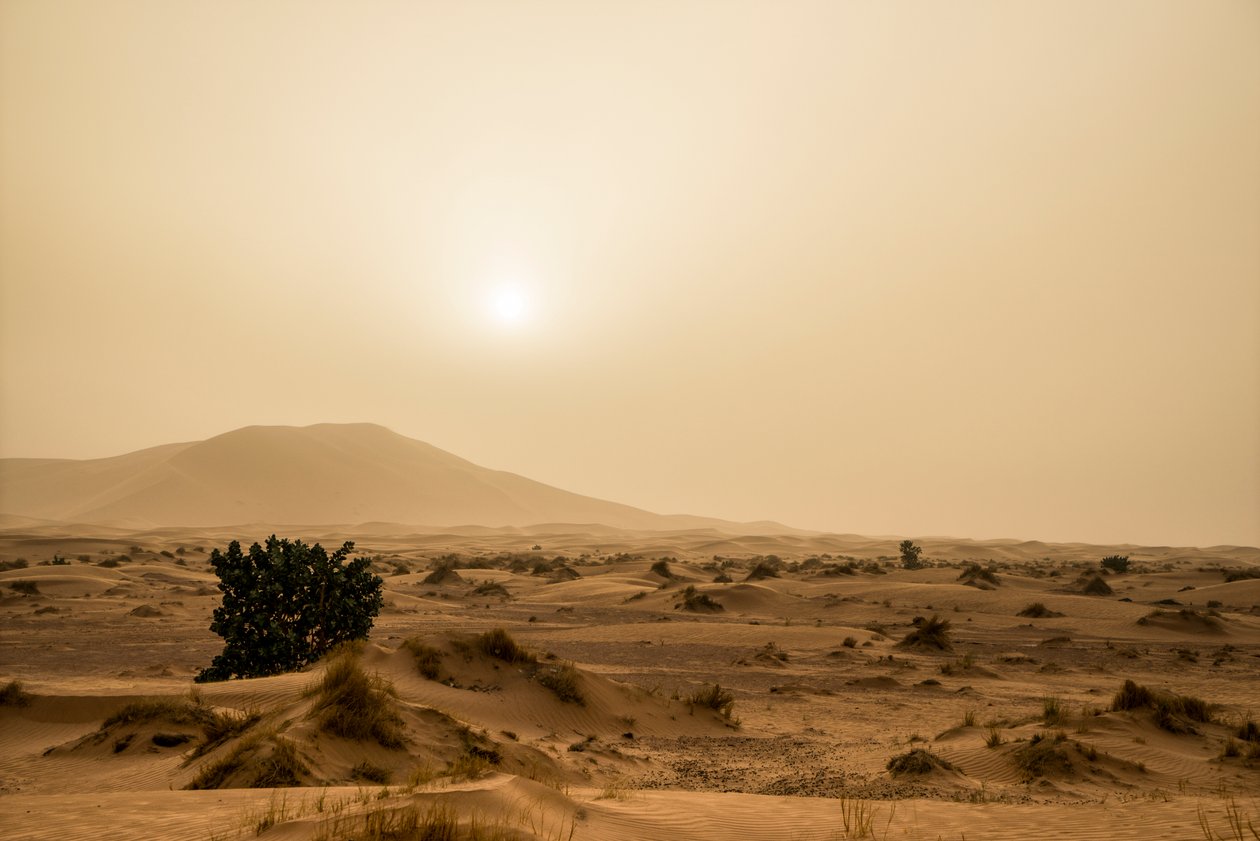 Sandklitter i Erg Chebbi-ørkenen i det sydøstlige Marokko, 2014 (foto) af Ira Block
