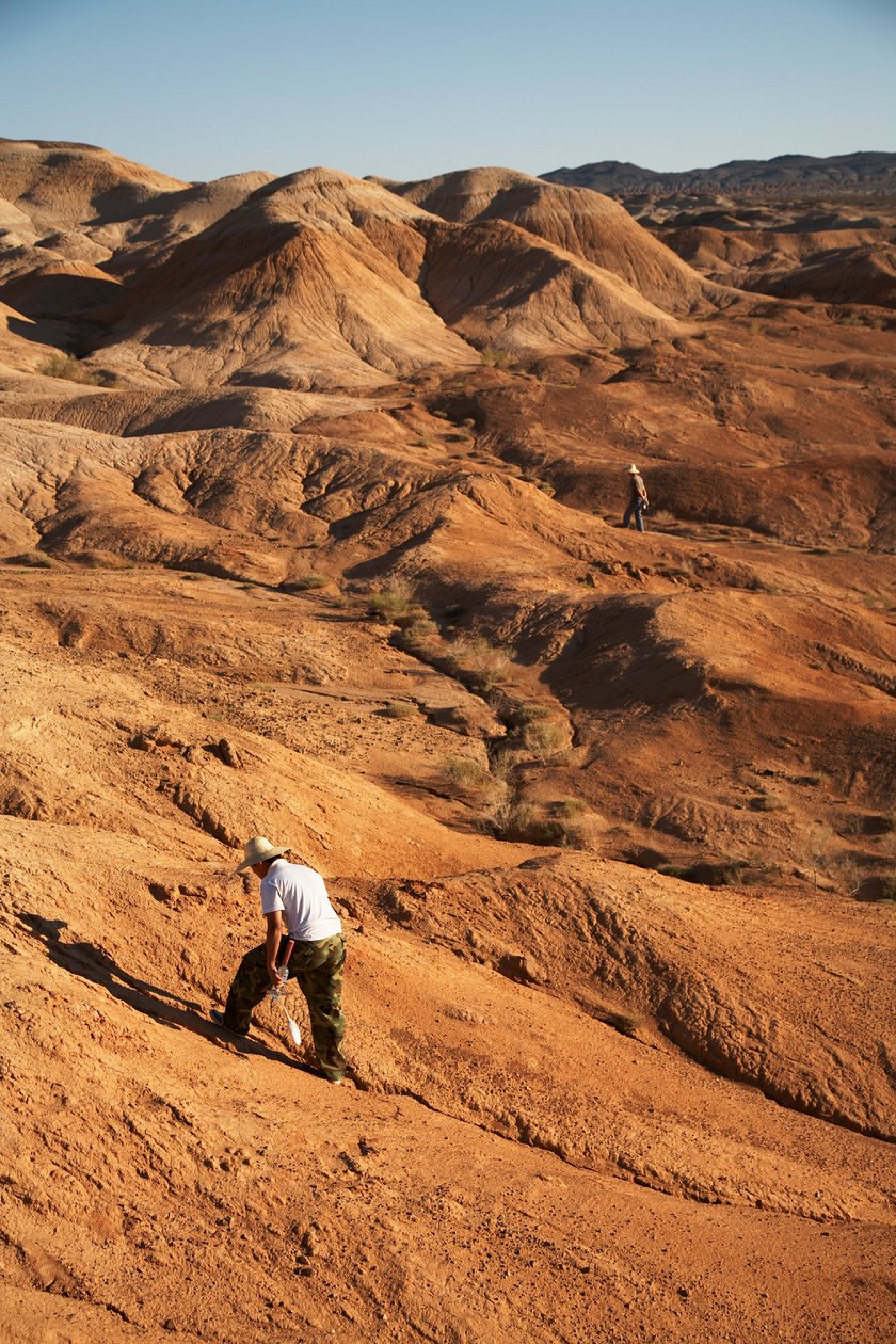 Scener omkring Wu Cai Wan i Gobi-ørkenen, Xinjiang, Vestkina, 2007 (foto) af Ira Block