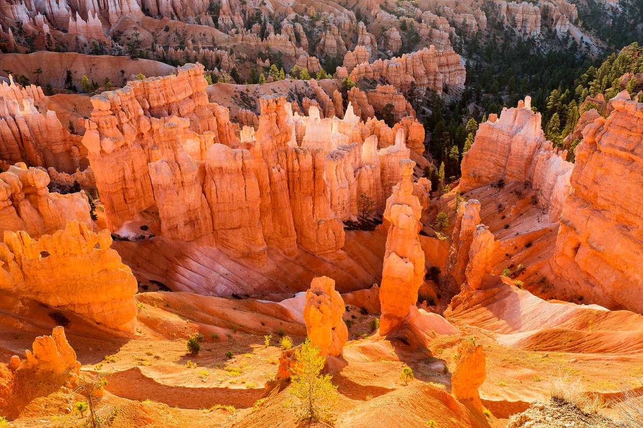 Solopgang på Hoodoos i Bryce Canyon National Park, 2012 (foto) af Ira Block
