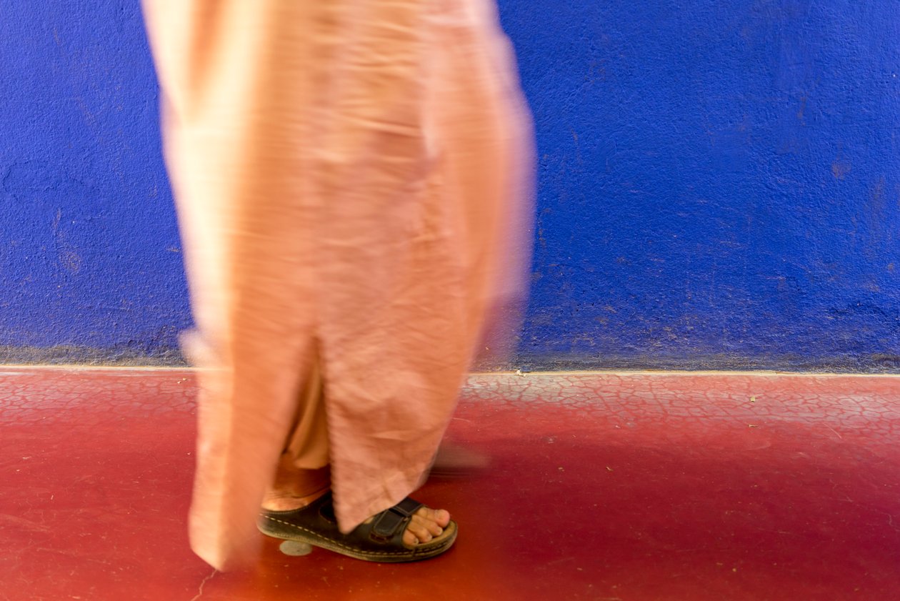 Går forbi en blå mur i Majorelle-haven Jardin Majorelle i Marrakech, Marokko, 2014 (foto) af Ira Block