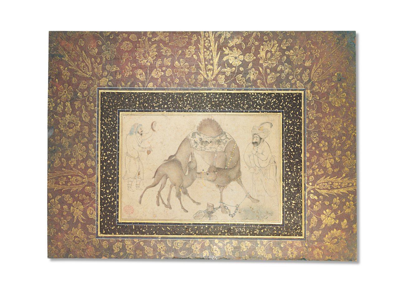 En kamel og hendes kalv, Safavid Iran, 1650-1700 af Iranian School