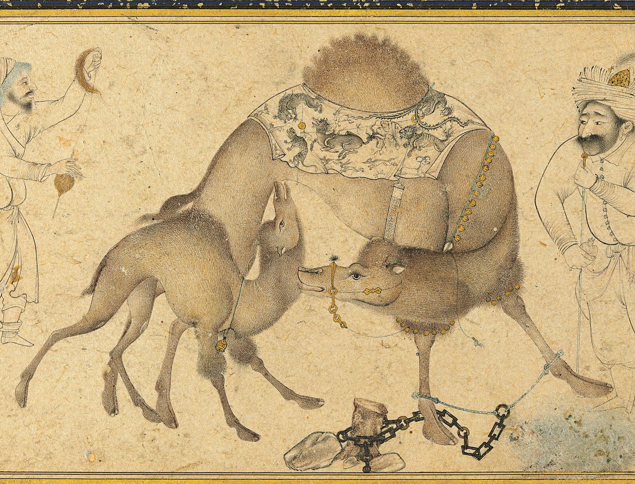 En kamel og hendes kalv, Safavid Iran, 1650-1700 af Iranian School