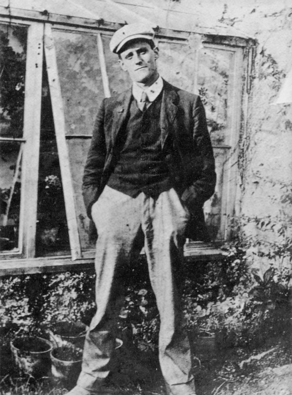 James Joyce i sin ven Constantine Currans have i Dublin, 1904 af Irish Photographer
