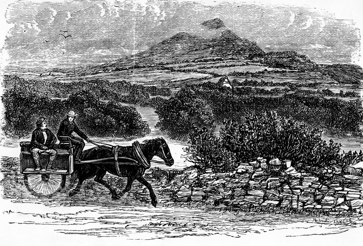 County Wicklow, tryk lavet af E. Taylor af Irish School