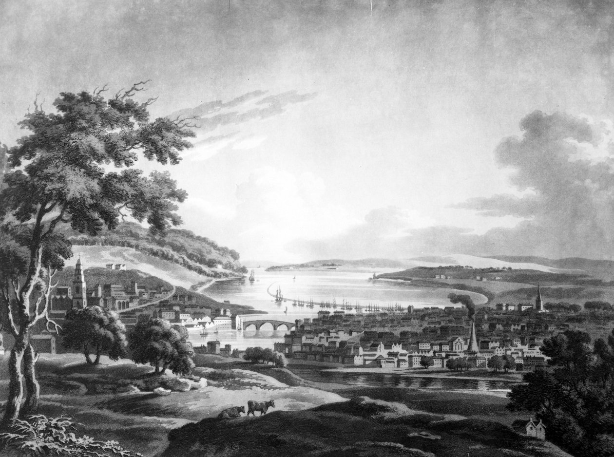 The City of Cork, 1799 (mezzotint) af Irish School
