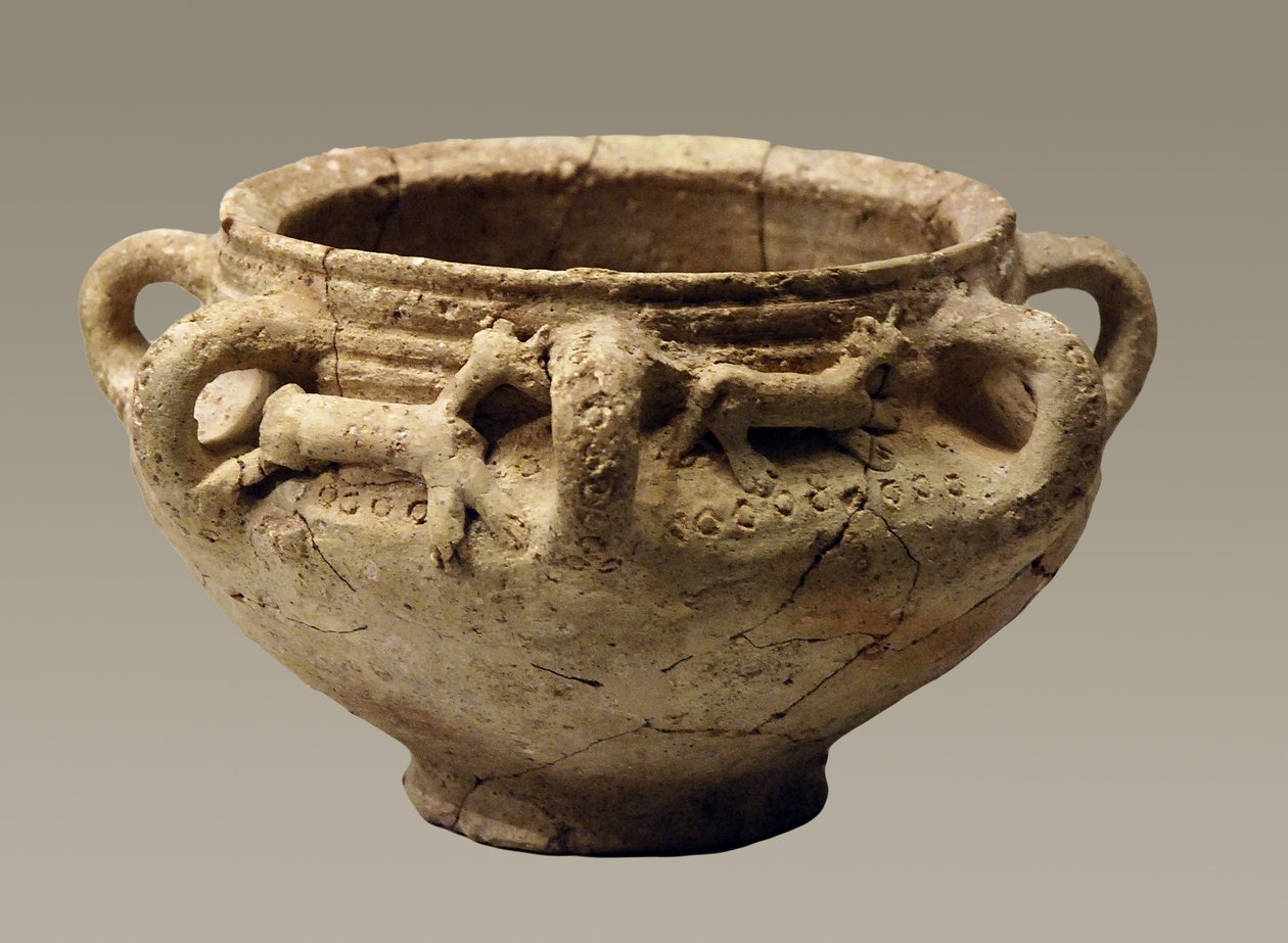 Pot fra Tell El-Hammah, Vestbredden, 11.-7. århundrede f.Kr. (keramik) af Iron Age