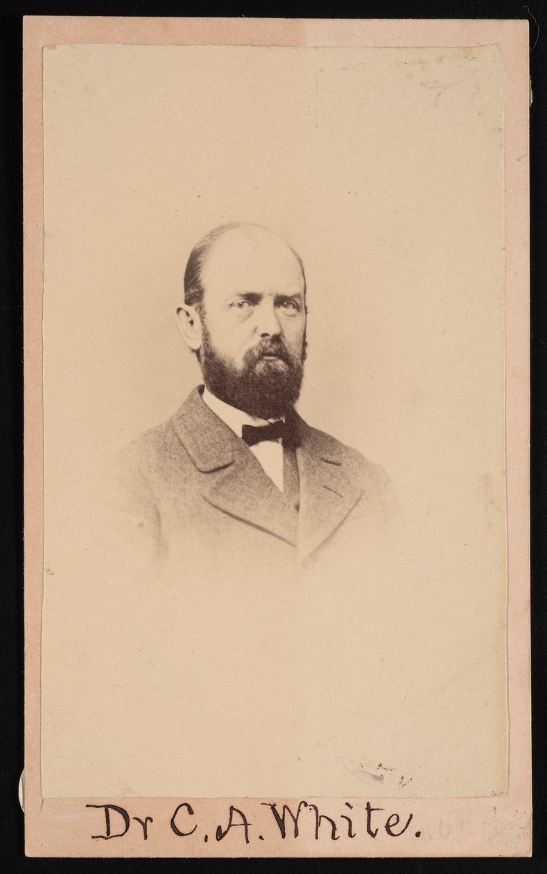 Portræt af Charles Abiathar White 1826-1910, 1868. af Isaac Augustus Wetherby